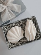 recznie-robione-swiece-sojowe-zestaw-fala-i-muszla-pudelko-z-wstazka