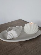 dekoracyjna-biala-muszla-z-gipsu