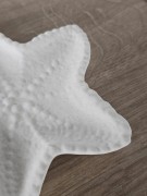 gipsowa-biala-podstawka-rozgwiazda