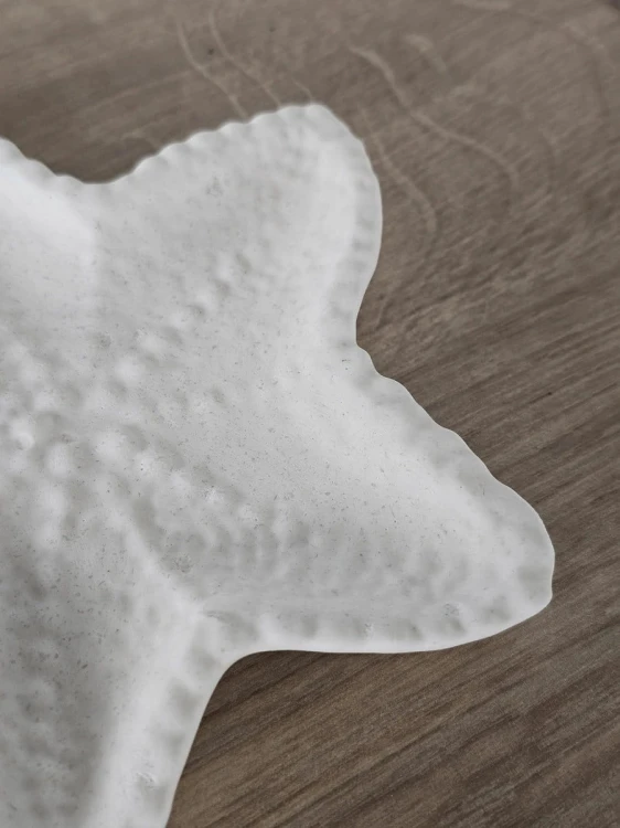 gipsowa-biala-podstawka-rozgwiazda